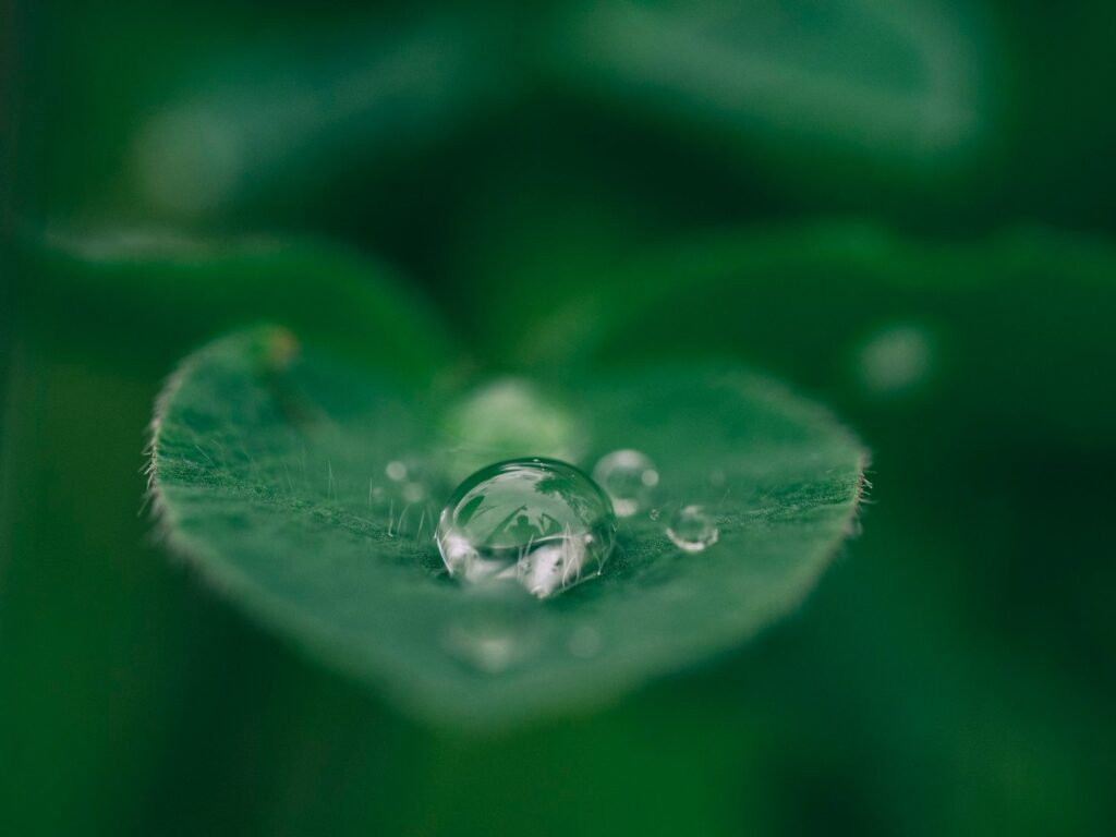 Reflections on the Intersection of Magic and Reality