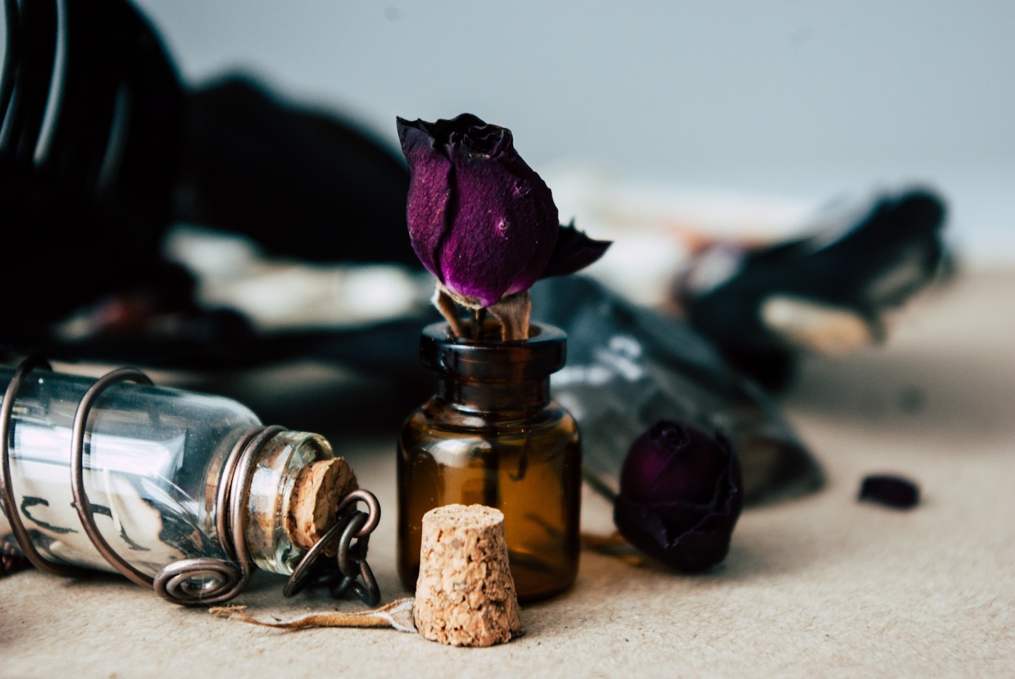Finding Magic in Nature: A Beginner’s Perspective