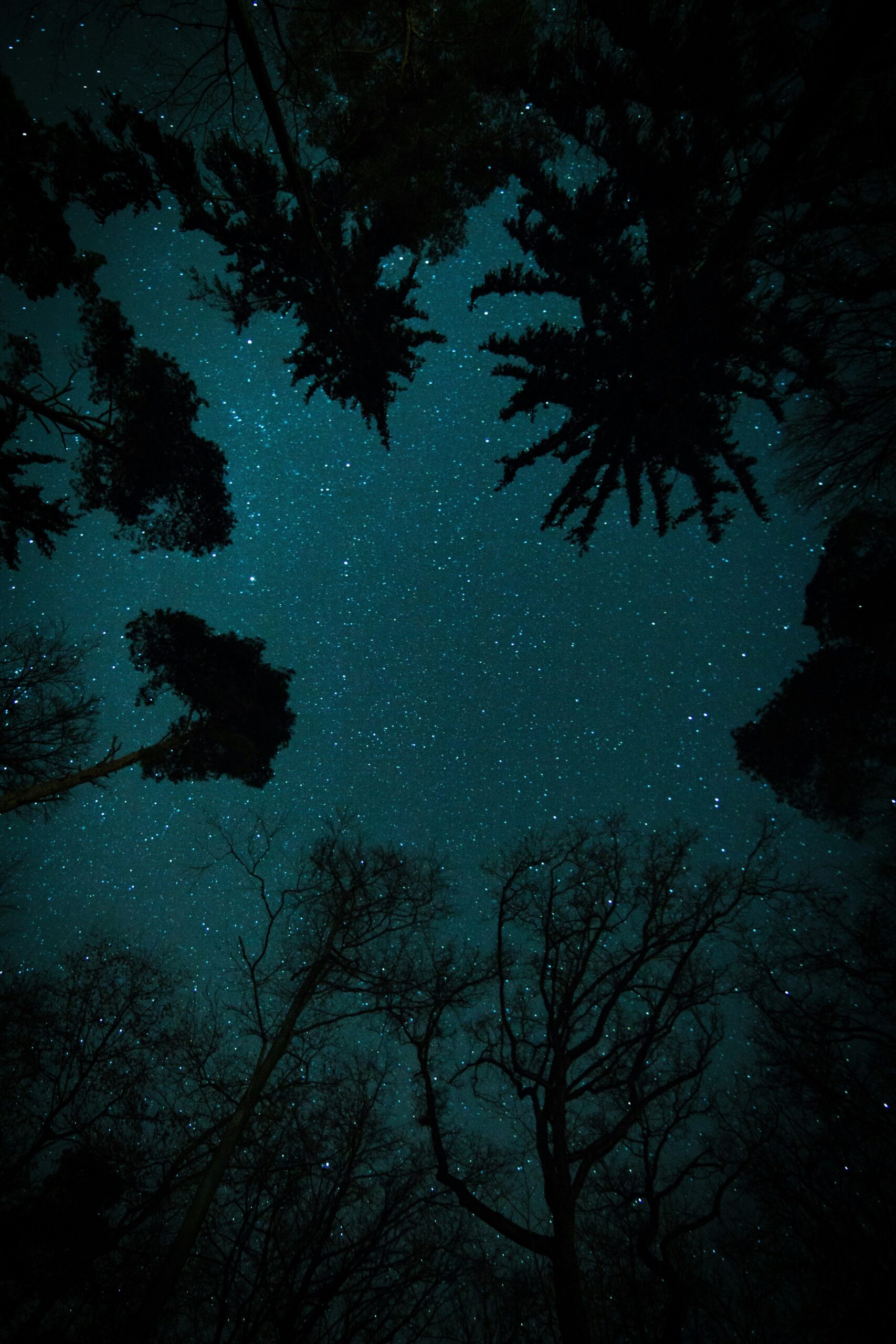 Hello World Featured Image